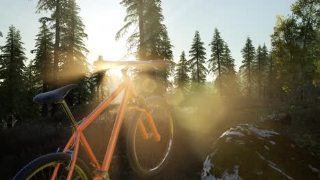 Bicycle-in-Mountain-Forest